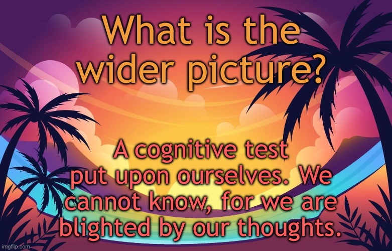 Trez (Summer) | What is the wider picture? A cognitive test put upon ourselves. We cannot know, for we are blighted by our thoughts. | image tagged in trez summer | made w/ Imgflip meme maker