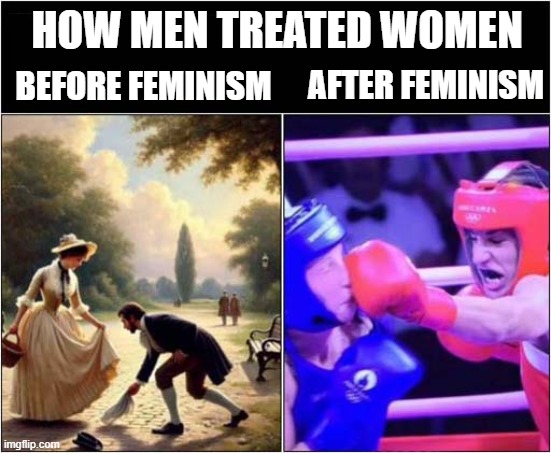 How The World Has Changed | HOW MEN TREATED WOMEN; AFTER FEMINISM; BEFORE FEMINISM | image tagged in feminism,treatment,paris olympics,gender identity,dark humour | made w/ Imgflip meme maker