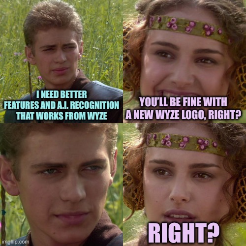 Wyze Guy, eh? | I NEED BETTER FEATURES AND A.I. RECOGNITION THAT WORKS FROM WYZE; YOU’LL BE FINE WITH A NEW WYZE LOGO, RIGHT? RIGHT? | image tagged in anakin padme 4 panel,memes,wyze | made w/ Imgflip meme maker