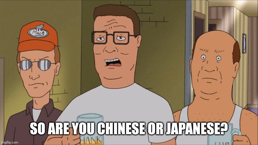 Hank Hill Why | SO ARE YOU CHINESE OR JAPANESE? | image tagged in hank hill why | made w/ Imgflip meme maker