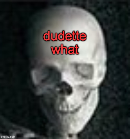 Skull | dudette what | image tagged in skull | made w/ Imgflip meme maker