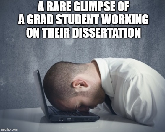 Grad School Life | A RARE GLIMPSE OF A GRAD STUDENT WORKING ON THEIR DISSERTATION | image tagged in writer frustration,phd,grad school,research | made w/ Imgflip meme maker