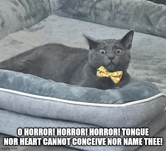 Kitty Macduff gets dramatic when his dish is empty | O HORROR! HORROR! HORROR! TONGUE NOR HEART CANNOT CONCEIVE NOR NAME THEE! | image tagged in cat,macbeth | made w/ Imgflip meme maker