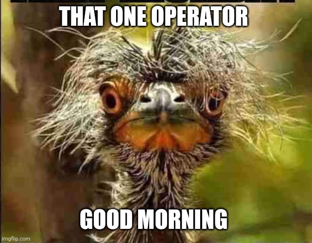 Bird neck | THAT ONE OPERATOR; GOOD MORNING | image tagged in one does not simply | made w/ Imgflip meme maker