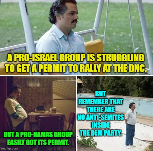 Yes there are and in huge numbers. | A PRO-ISRAEL GROUP IS STRUGGLING TO GET A PERMIT TO RALLY AT THE DNC. BUT REMEMBER THAT THERE ARE NO ANTI-SEMITES INSIDE THE DEM PARTY. BUT A PRO-HAMAS GROUP EASILY GOT ITS PERMIT. | image tagged in sad pablo escobar | made w/ Imgflip meme maker