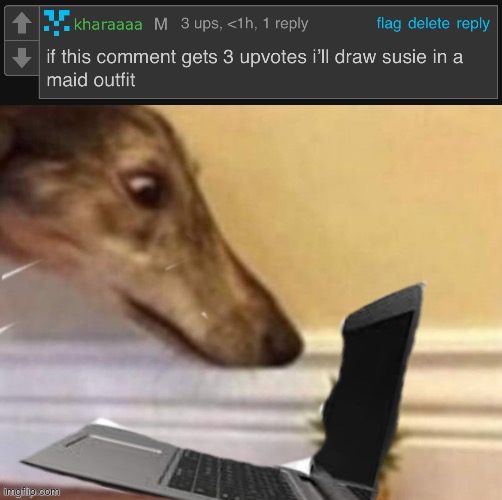 aight here goes nothing | image tagged in dog staring at computer | made w/ Imgflip meme maker