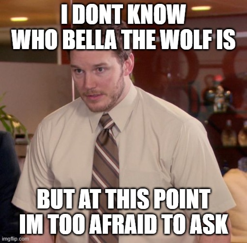 who | I DONT KNOW WHO BELLA THE WOLF IS; BUT AT THIS POINT IM TOO AFRAID TO ASK | image tagged in mems | made w/ Imgflip meme maker