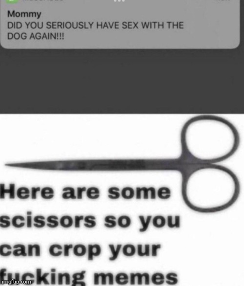 Here are some scissors so you can crop your fucking memes | image tagged in here are some scissors so you can crop your fucking memes | made w/ Imgflip meme maker