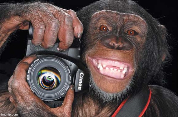 Camera Monkey | image tagged in camera monkey | made w/ Imgflip meme maker