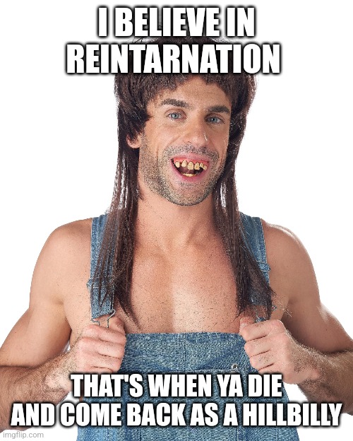 Don't know if yall will find this funny or not... probably not | I BELIEVE IN REINTARNATION; THAT'S WHEN YA DIE AND COME BACK AS A HILLBILLY | image tagged in hillbilly,reintarnation | made w/ Imgflip meme maker