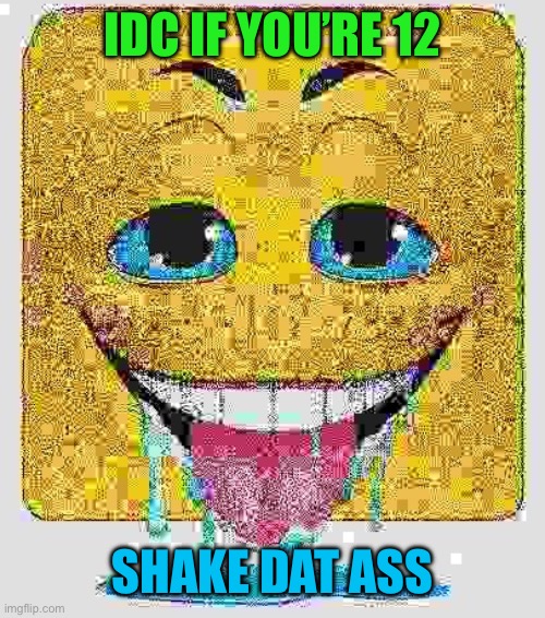 Drooling Stock Emoji Face | IDC IF YOU’RE 12 SHAKE DAT ASS | image tagged in drooling stock emoji face | made w/ Imgflip meme maker