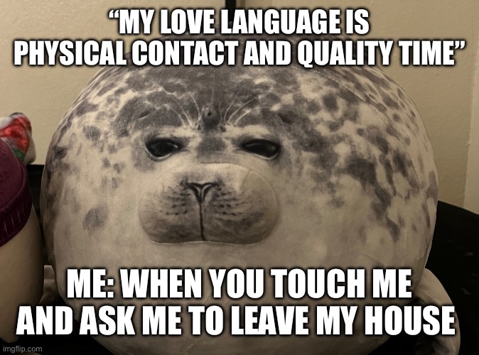 Judgy Seal | “MY LOVE LANGUAGE IS PHYSICAL CONTACT AND QUALITY TIME”; ME: WHEN YOU TOUCH ME AND ASK ME TO LEAVE MY HOUSE | image tagged in judge seal | made w/ Imgflip meme maker