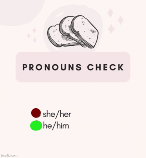 Accurate pronouns check | image tagged in accurate pronouns check | made w/ Imgflip meme maker