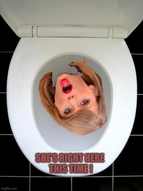 TOILET | SHE'S RIGHT HERE 
THIS TIME ! | image tagged in toilet | made w/ Imgflip meme maker