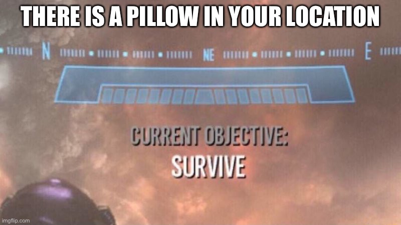 Current Objective: Survive | THERE IS A PILLOW IN YOUR LOCATION | image tagged in current objective survive | made w/ Imgflip meme maker