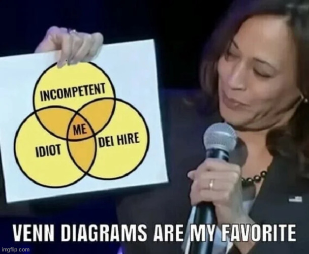 Kamala does venn diagrams... | image tagged in kamala harris,does venn diagrams | made w/ Imgflip meme maker