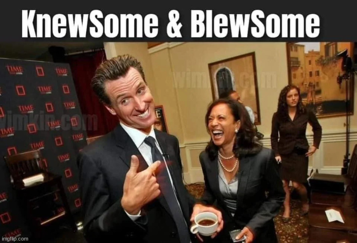 What a pair | image tagged in newsom,harris | made w/ Imgflip meme maker