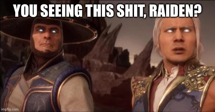 Raiden Fujin MK 11 | YOU SEEING THIS SHIT, RAIDEN? | image tagged in raiden fujin mk 11 | made w/ Imgflip meme maker