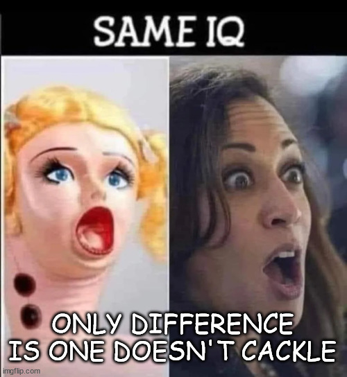 ONLY DIFFERENCE IS ONE DOESN'T CACKLE | made w/ Imgflip meme maker