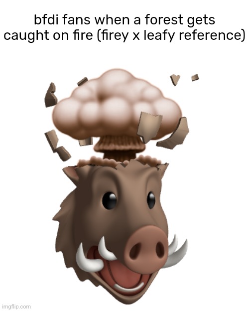 Boar Head explode | bfdi fans when a forest gets caught on fire (firey x leafy reference) | image tagged in boar head explode | made w/ Imgflip meme maker