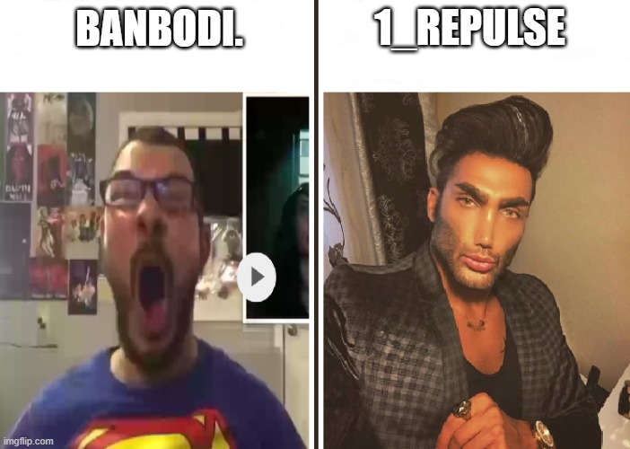 Average Fan vs Average Enjoyer | 1_REPULSE; BANBODI. | image tagged in average fan vs average enjoyer | made w/ Imgflip meme maker