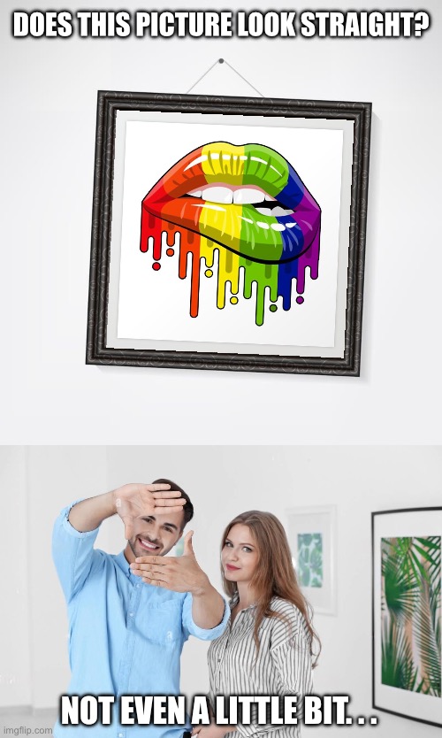 Does this picture look straight? | DOES THIS PICTURE LOOK STRAIGHT? NOT EVEN A LITTLE BIT. . . | image tagged in lgbtq,decorating,home,apartment,roomates | made w/ Imgflip meme maker