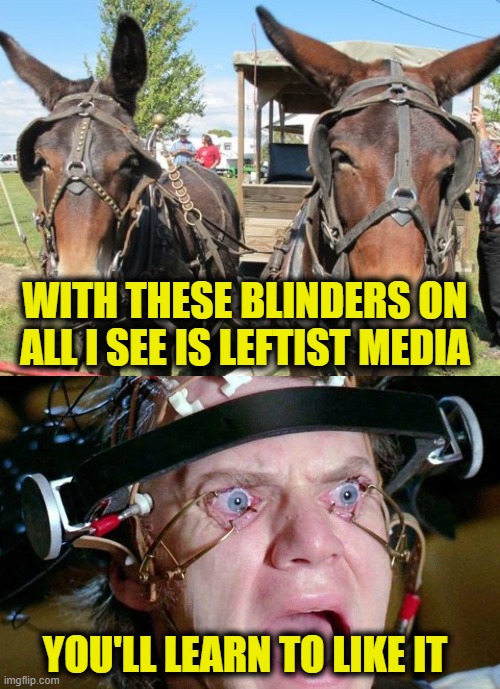 Easier to control  a mule with blinders on | WITH THESE BLINDERS ON
ALL I SEE IS LEFTIST MEDIA; YOU'LL LEARN TO LIKE IT | image tagged in liberal media | made w/ Imgflip meme maker