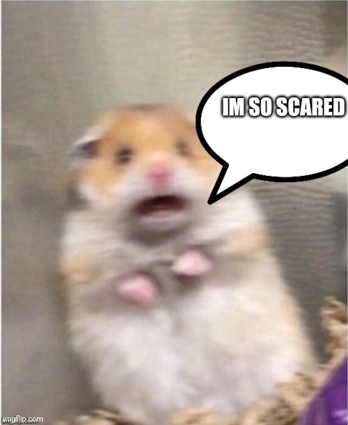 Im so scared | IM SO SCARED | image tagged in scared hamster | made w/ Imgflip meme maker