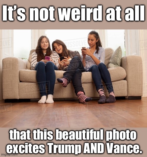 Sofa king and Epstein‘s customer are not weird | It’s not weird at all; that this beautiful photo 
excites Trump AND Vance. | image tagged in trump,jd vance,sofa,underage | made w/ Imgflip meme maker