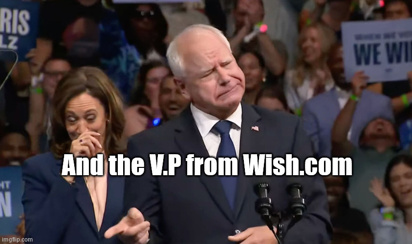 Tim Walz and Kamala Harris | And the V.P from Wish.com | image tagged in tim walz and kamala harris | made w/ Imgflip meme maker