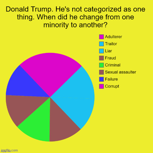 e | image tagged in charts,pie charts,adultery,traitor,liar,fraud | made w/ Imgflip meme maker