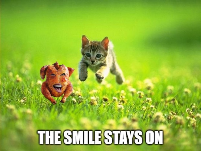 Cute kitten chasing smiling chicken | image tagged in memes | made w/ Imgflip meme maker