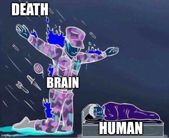 Brain be like: | DEATH; BRAIN; HUMAN | image tagged in soldier protecting sleeping child,brain,death,humanity,humans,human | made w/ Imgflip meme maker