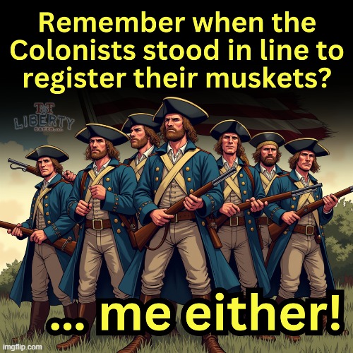 2nd Amendment | image tagged in guns,america,gun rights,us army,american revolution | made w/ Imgflip meme maker