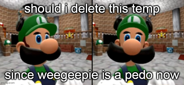 just ma | should i delete this temp; since weegeepie is a pedo now | image tagged in luigi turns his head and stares at you | made w/ Imgflip meme maker