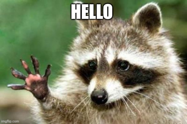 Hello raccoon | HELLO | image tagged in hello raccoon | made w/ Imgflip meme maker