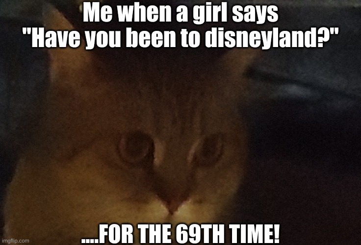 Cat dude | Me when a girl says "Have you been to disneyland?"; ....FOR THE 69TH TIME! | image tagged in cat dude,cats,why not,too many tags,bruh,smiling cat | made w/ Imgflip meme maker