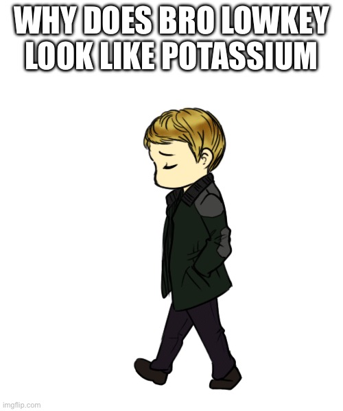 WHY DOES BRO LOWKEY LOOK LIKE POTASSIUM | made w/ Imgflip meme maker