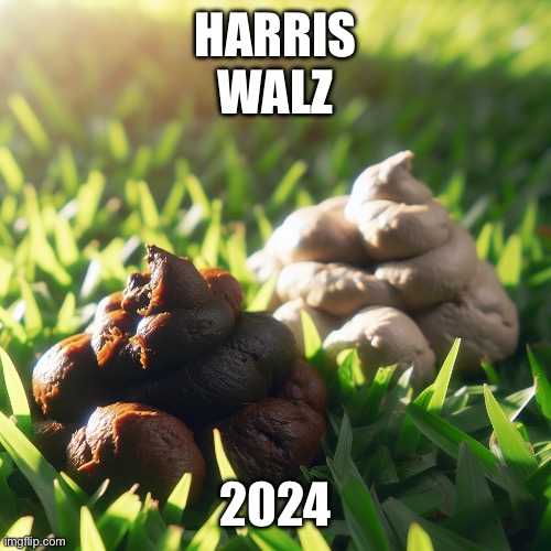 HARRIS
WALZ; 2024 | made w/ Imgflip meme maker