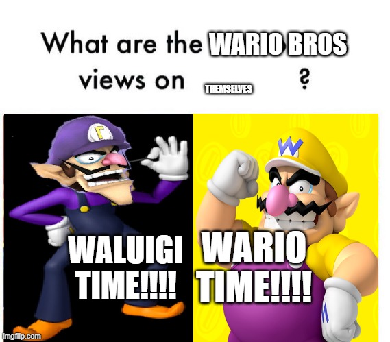 Mario Bros Views | WARIO BROS; THEMSELVES; WALUIGI TIME!!!! WARIO TIME!!!! | image tagged in mario bros views | made w/ Imgflip meme maker