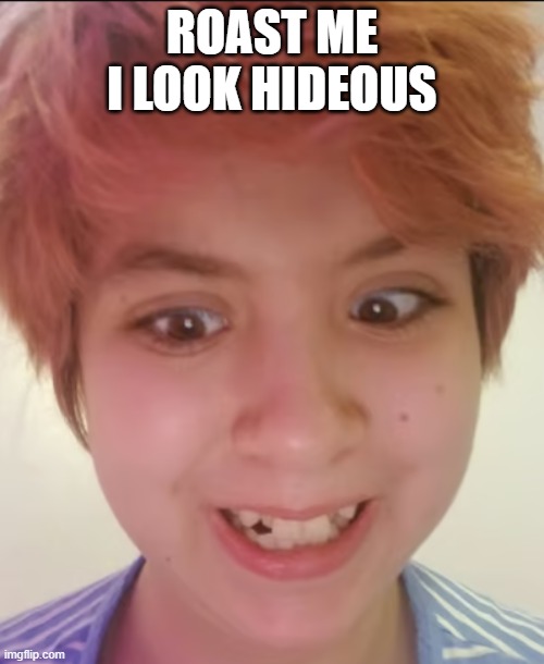 ROAST ME I LOOK HIDEOUS | made w/ Imgflip meme maker