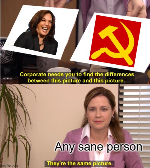 Communism never works and never will work. MAGA | Any sane person | image tagged in memes,they're the same picture | made w/ Imgflip meme maker