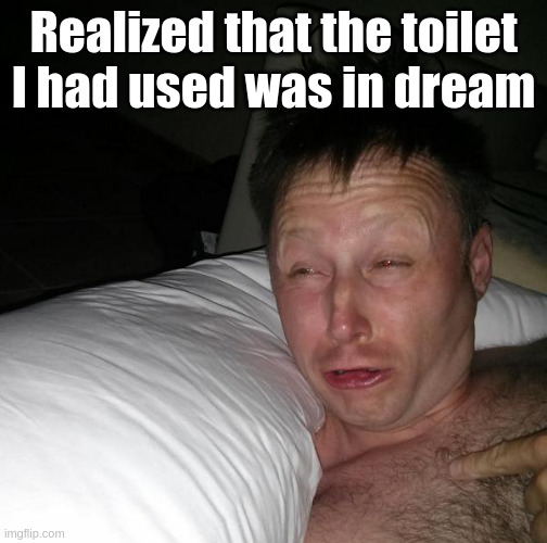 Limmy waking up | Realized that the toilet I had used was in dream | image tagged in limmy waking up | made w/ Imgflip meme maker