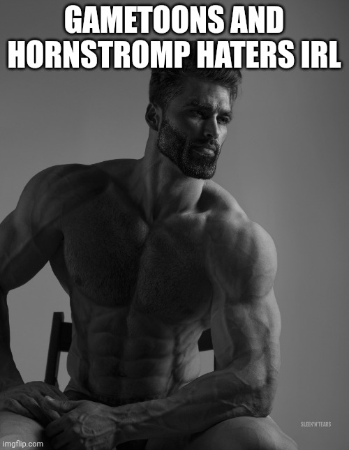 Giga Chad | GAMETOONS AND HORNSTROMP HATERS IRL | image tagged in giga chad | made w/ Imgflip meme maker