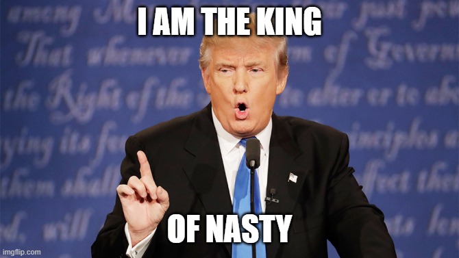 king of nasty | I AM THE KING; OF NASTY | image tagged in donald trump | made w/ Imgflip meme maker