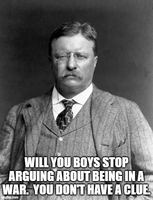 Vance/Walz | WILL YOU BOYS STOP ARGUING ABOUT BEING IN A WAR.  YOU DON'T HAVE A CLUE. | image tagged in political meme | made w/ Imgflip meme maker