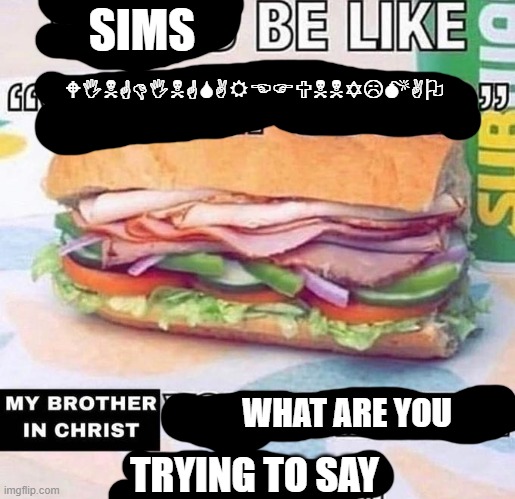 Brother in Christ Subway | SIMS; WINGDINGSAREFUNNYLMAO; WHAT ARE YOU; TRYING TO SAY | image tagged in brother in christ subway | made w/ Imgflip meme maker