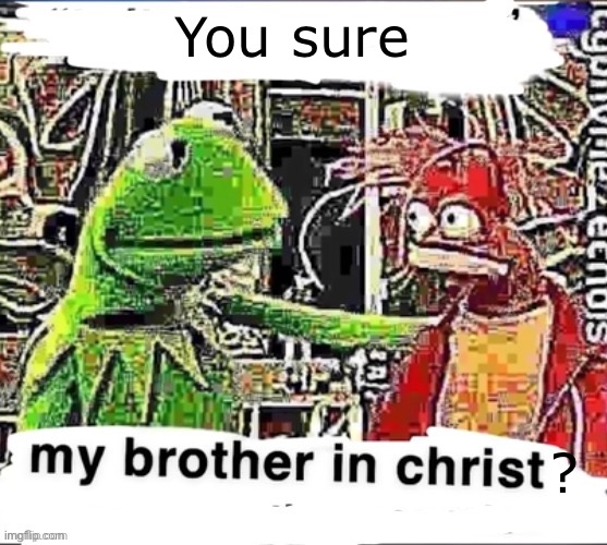 my brother in christ | You sure ? | image tagged in my brother in christ | made w/ Imgflip meme maker