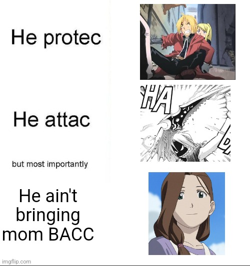 As a FMA fan, making this meme hit me in the feels | He ain't bringing mom BACC | image tagged in he protecc | made w/ Imgflip meme maker