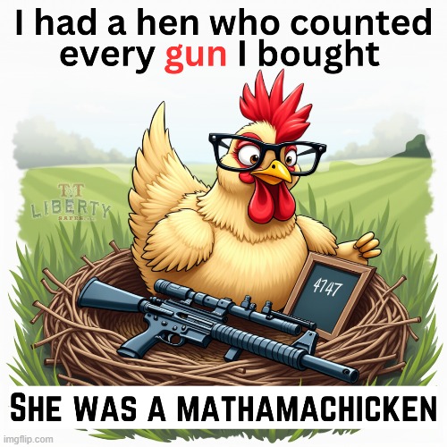 2nd Amendment | image tagged in meme,guns,chicken,comics/cartoons,gun rights | made w/ Imgflip meme maker